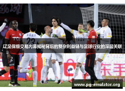 辽足保级交易内幕揭秘背后的复杂利益链与足球行业的深层关联