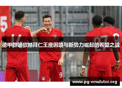 德甲群雄欲撼拜仁王座困境与新势力崛起的希望之战