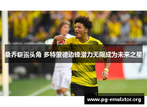 桑乔崭露头角 多特蒙德边锋潜力无限成为未来之星