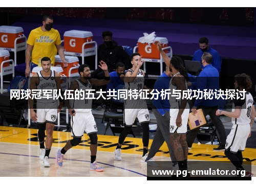 网球冠军队伍的五大共同特征分析与成功秘诀探讨