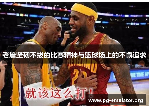 老詹坚韧不拔的比赛精神与篮球场上的不懈追求