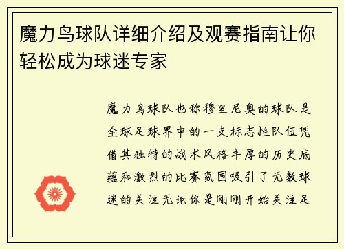 魔力鸟球队详细介绍及观赛指南让你轻松成为球迷专家